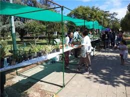 FERIA VERDE