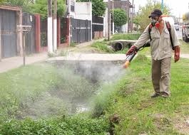 Fumigación.jpg