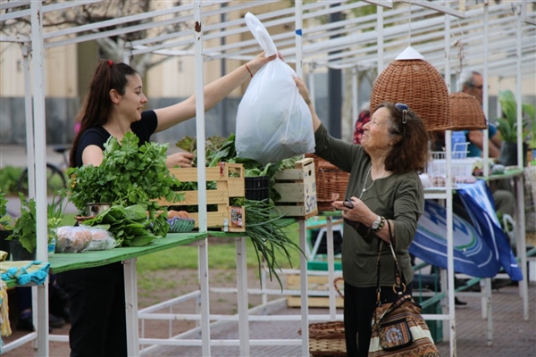 Feria verde (2)