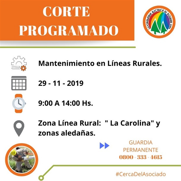 CORTE 29