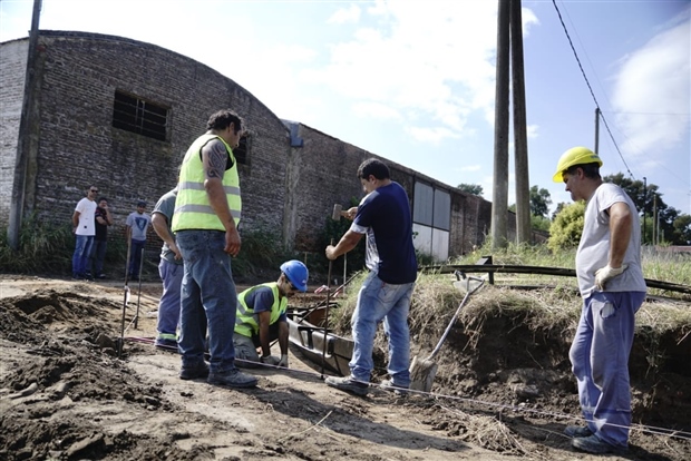 los troncos (2)
