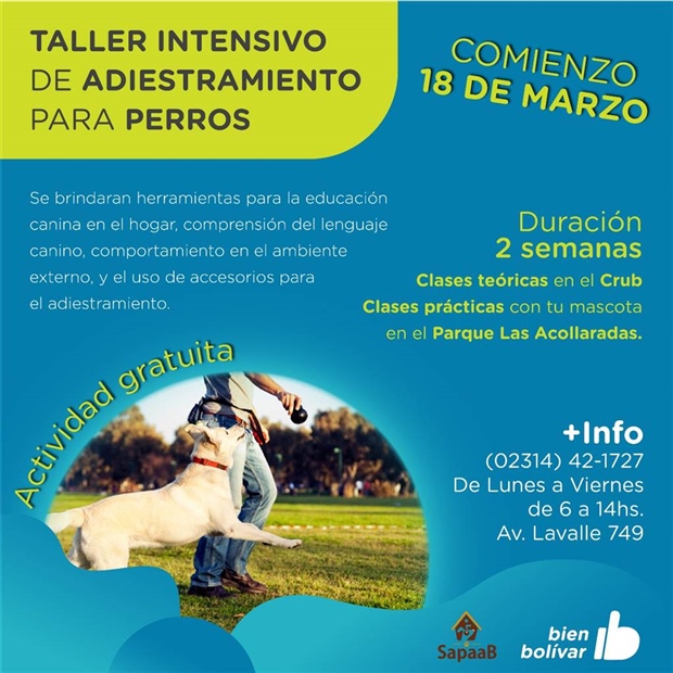 tenencia responsable