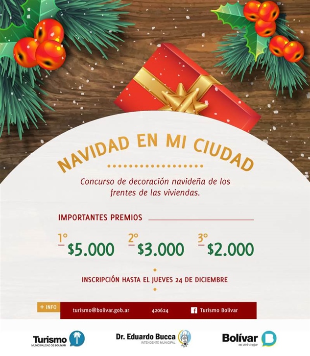 Concurso Cámara Navidad 01