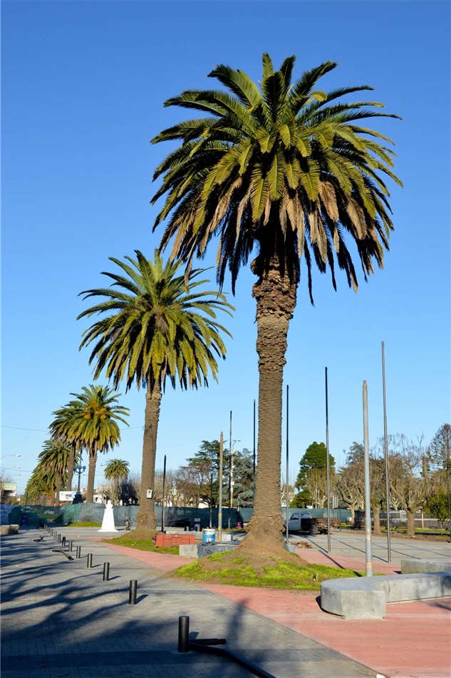 Feria Verde