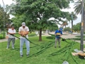 Radio Federal - Actualidad - Comenzó el Armado del Árbol de los Sueños