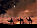 Radio Federal - Actualidad - Los Reyes Magos llegan al parque