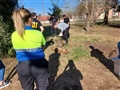 Radio Federal - Actualidad - EN PIROVANO SE INVESTIGA LA MUERTE DE 5 PERROS