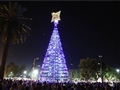 Radio Federal - Actualidad - Fue encendido el Árbol de Navidad de todos los bolivarenses