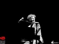Radio Federal - Actualidad - Los 30 Años del Disco "Giros" de Fito Paez en el Gran Rex