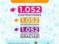 Radio Federal - Actualidad - EL MUNICIPIO Y SAPAAB REALIZARON 1.052 CASTRACIONES ENTRE ENERO Y JULIO DE ESTE AÑO