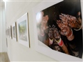 Radio Federal - Actualidad - LA FOTÓGRAFA GABRIELA COMAS EXPONE “BAJO EL MISMO CIELO” EN EL ESPACIO JAVIER COSTA