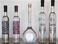 Radio Federal - Actualidad - ANALISIS POLITICO - MOMENTO GRAPPA