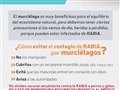Radio Federal - Actualidad - EL MUNICIPIO OFRECE RECOMENDACIONES PREVENTIVAS ANTE MORDEDURAS DE MURCIÉLAGOS