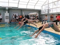 Radio Federal - Actualidad - COMENZÓ UN TORNEO REGIONAL DE NATACIÓN EN EL NATATORIO MUNICIPAL