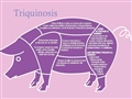 Radio Federal - Actualidad - Triquinosis: recomendaciones para prevenirla