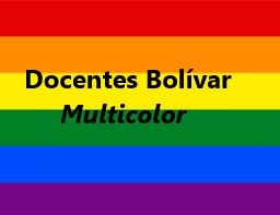 DOCENTES BOLIVAR MULTICOLOR