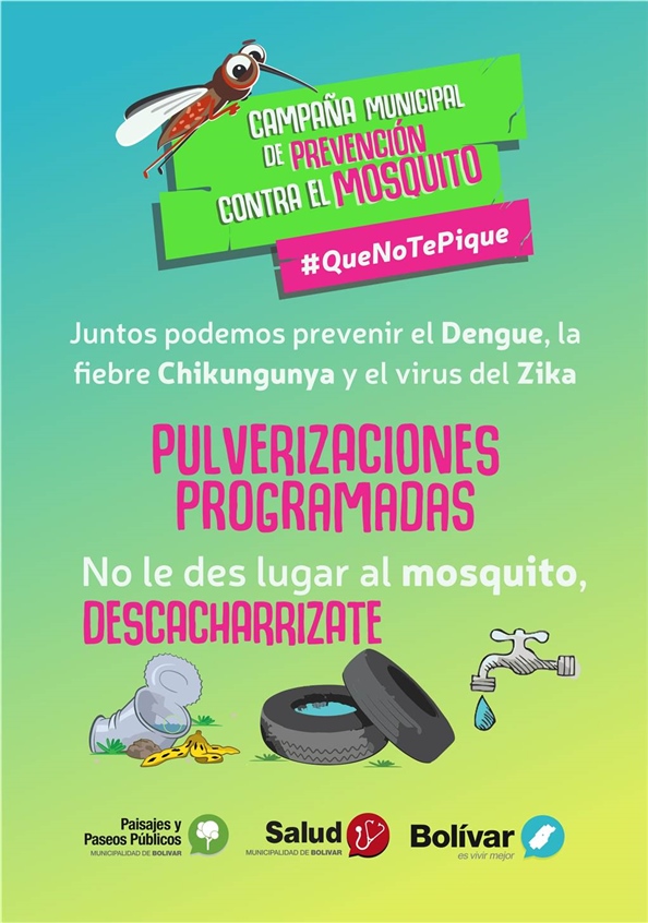 Dengue 02