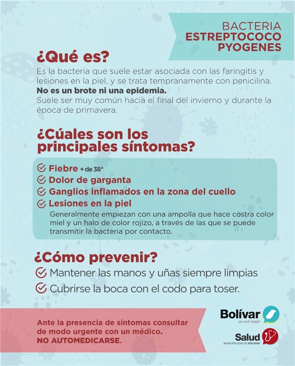 FLYER BACTERIA ESTREPTOCOCO