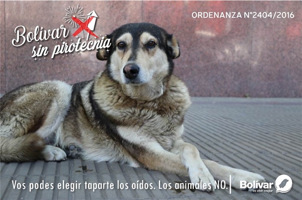 flyer no a la pirotecnia (4)