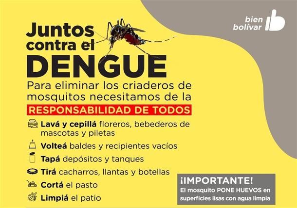 dengue
