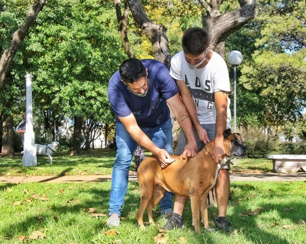 zoonosis (2)