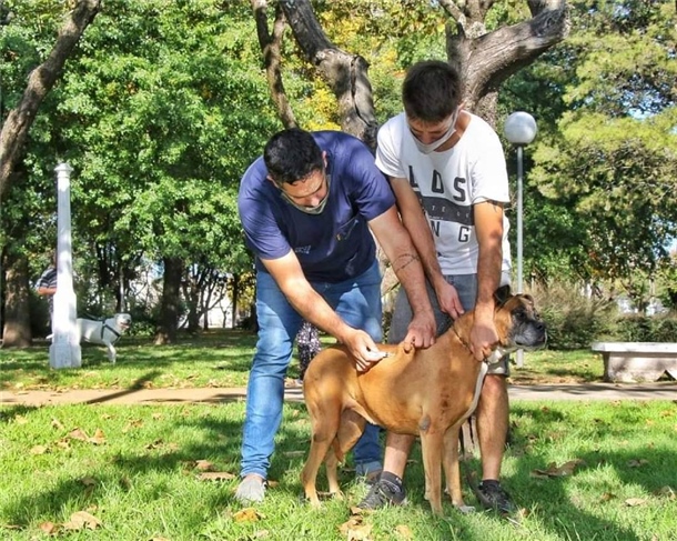 zoonosis