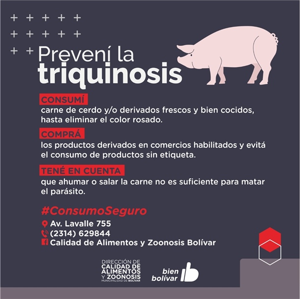 flyertriquinosis (1)