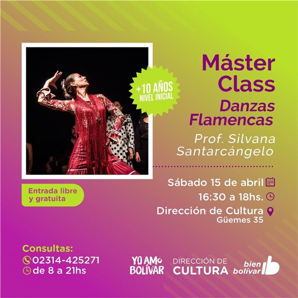 flyer danzas