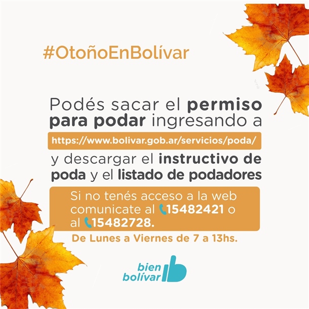 flyer poda