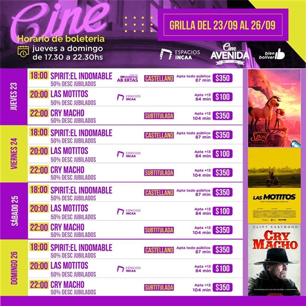 flyer programacion