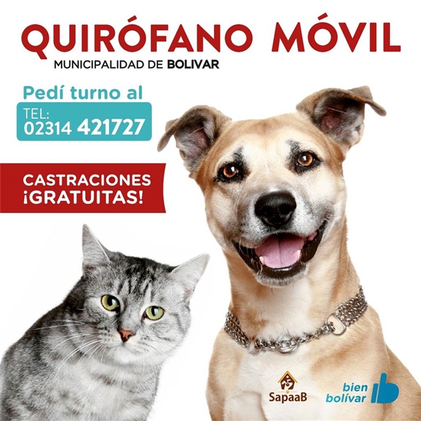 FLYERCASTRA