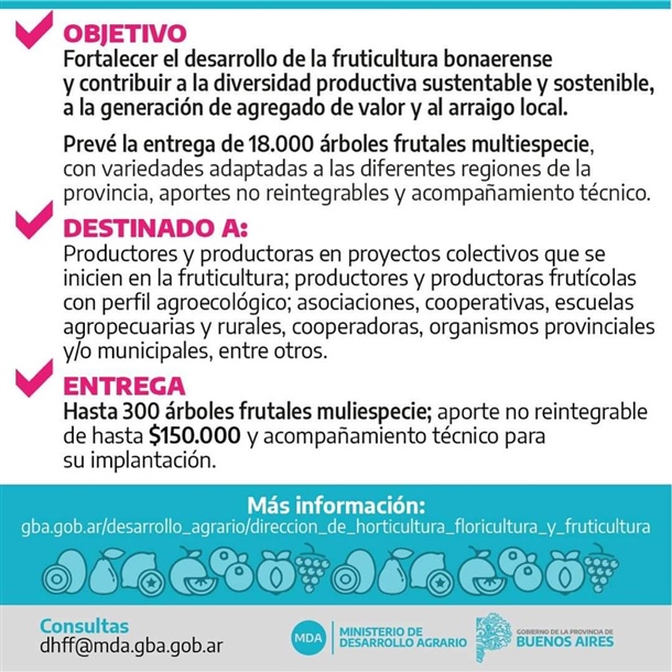 programa (2)