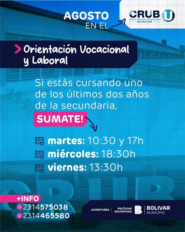 WhatsApp Image 2026-08-08 at 15.24.42