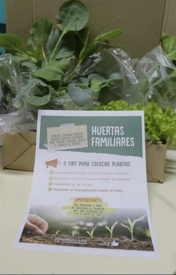 huertas (1)