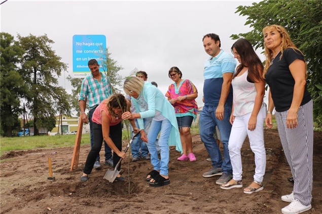 limpió un terreno por quinta vez en el año y se colocaron árboles 02