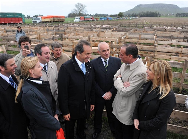 Scioli - Balcarce - Plan Ganadero.jpg