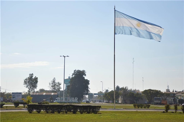 plantación de plantas 01