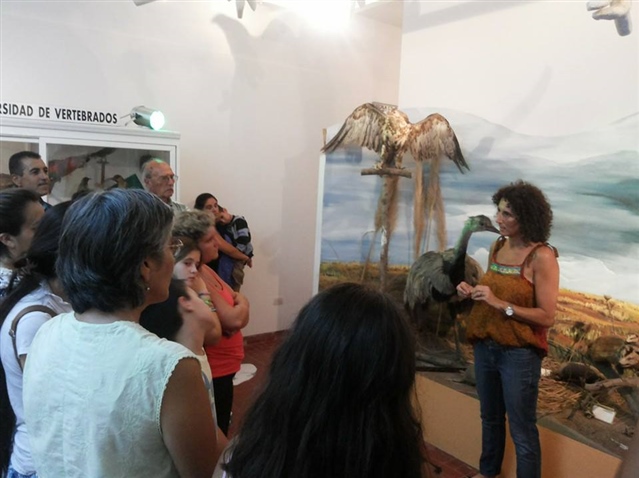 Visita Museo FA