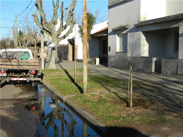 Forestación 01