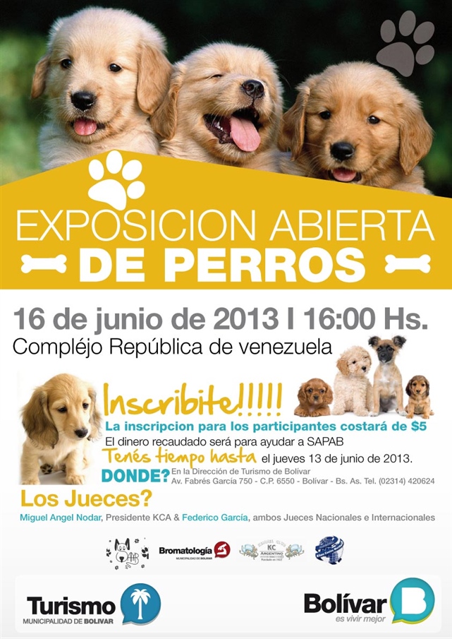 Exposición de perros.jpg