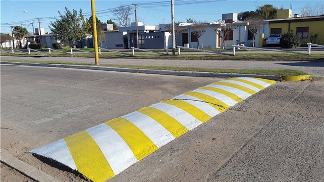 Pintada de Lomos de burro